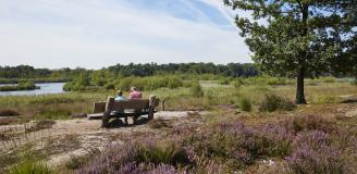 man en vrouw op bankje in bos en heide in Boxtel