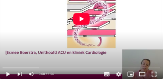 Jaarplan acute as - Esmee Boerstra