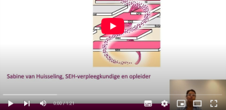 Screenshot van presentatie Sabine van Huisseling