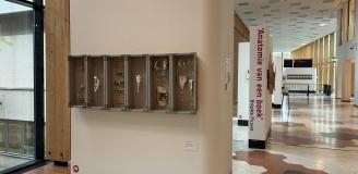 Foto van expositie Brigitte Picavet Anatomie van een boek 