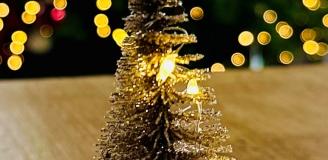 Foto van een kerstboompje