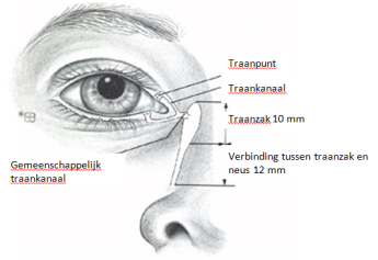 overzicht van de traanbuis in oog en neus