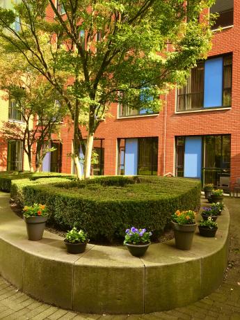 De binnentuin van de afdeling Geriatrie met bloeiende planten