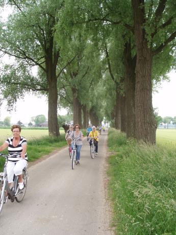 Afbeelding: fietsen tijdens een activiteit