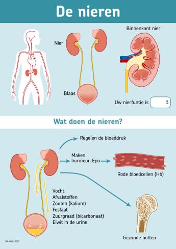 Praatplaat Nierfalen voorzijde