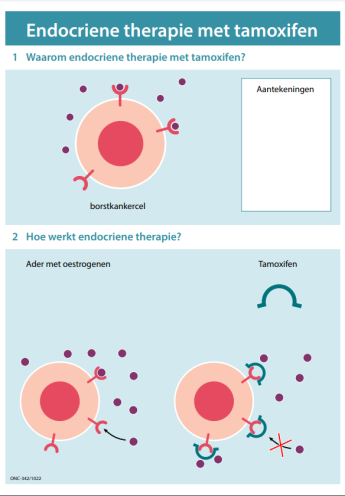 afbeelding praatplaat endocriene therapie met tamoxifen - voorkant
