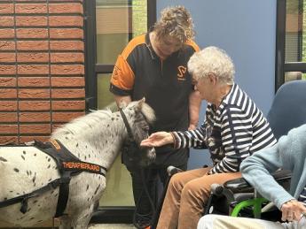 Project Vrienden - therapiepaard Zippie bij geriatrie