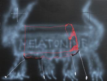 kunst kunstwerk melatonine niek opstals 