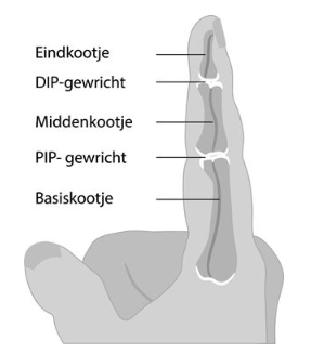 Plaatje: opgestoken vinger