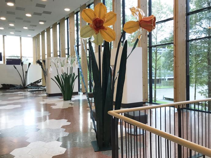 kunst expositie boulevard narcissen Linda Nieuwstad (1)