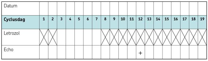 schema voor hormoontabletten