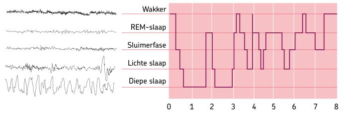 Plaatje slaapcyclus normale slaap