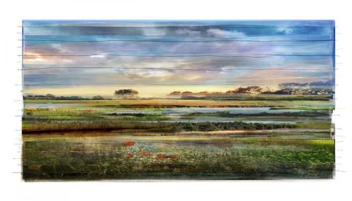 kunst kunstwerk 'Collected Landscape nr. 61' van Waldo van Bokhoven