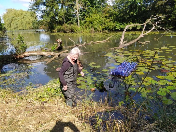 kunst portret Hetty de Boer-Blonk in de natuur