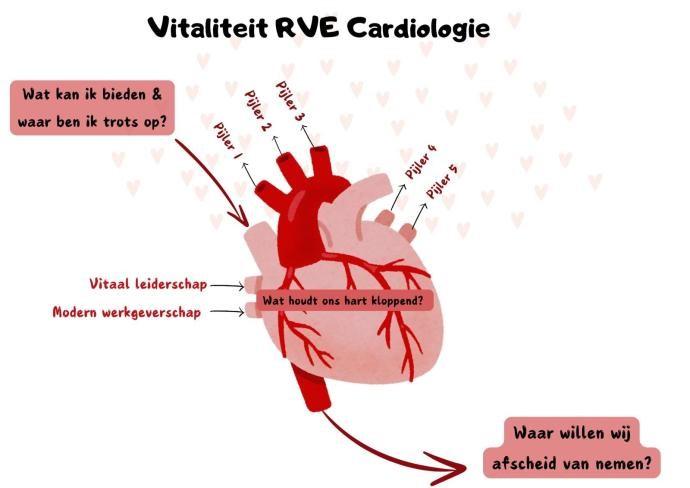Schematische weergave van de vitaliteitsdoelstellingen van de Cardiologie