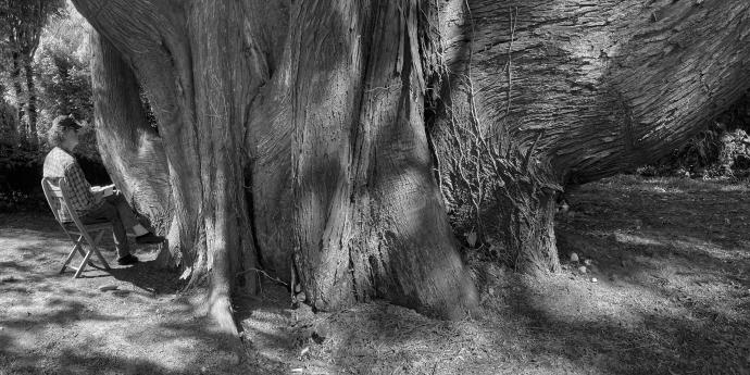 Foto van Frans Beerens