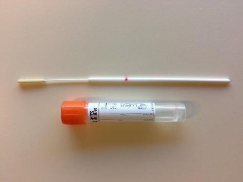 Candida auris (Candidozyma auris) PCR Eswab 