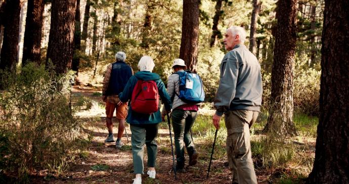 groep mensen wandelt in het bos