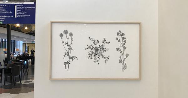kunstwerk 'distels', ets (2019), Paul van Dongen