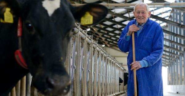 Boer Jennissen bij koe Truus