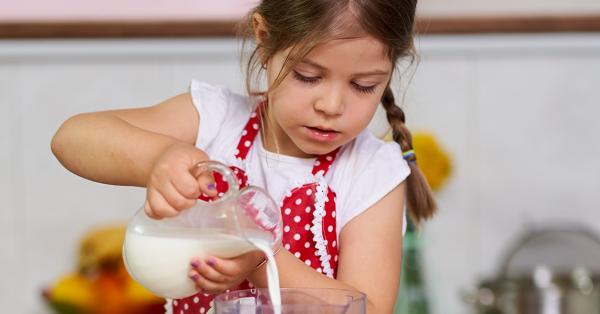 Nieuws - Blended Diet receptenbundel