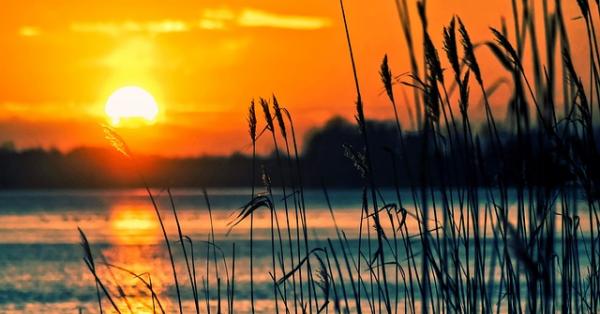 Landschap - Column Carolien Burghout