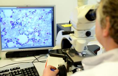 afdelingen laboratorium klinische chemie onderzoek microscoop