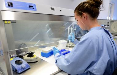 afdelingen laboratorium medische microbiologie laborant preparaat