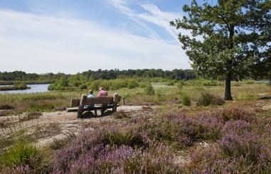 man en vrouw op bankje in bos en heide in Boxtel