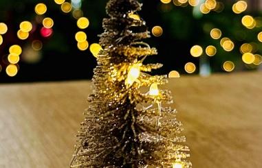 Foto van een kerstboompje