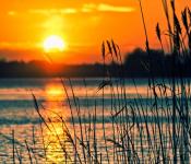 Landschap - Column Carolien Burghout